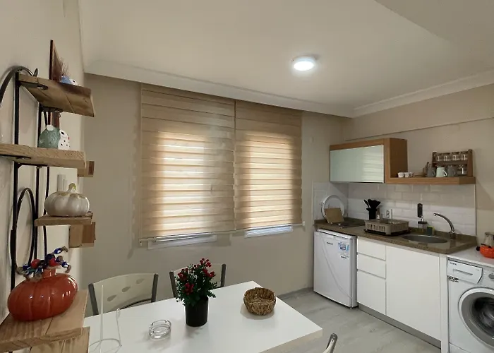 Hanedan Flora * פוצ'ה