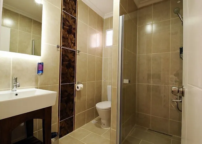 Hanedan Flora מלון דירות פוצ'ה