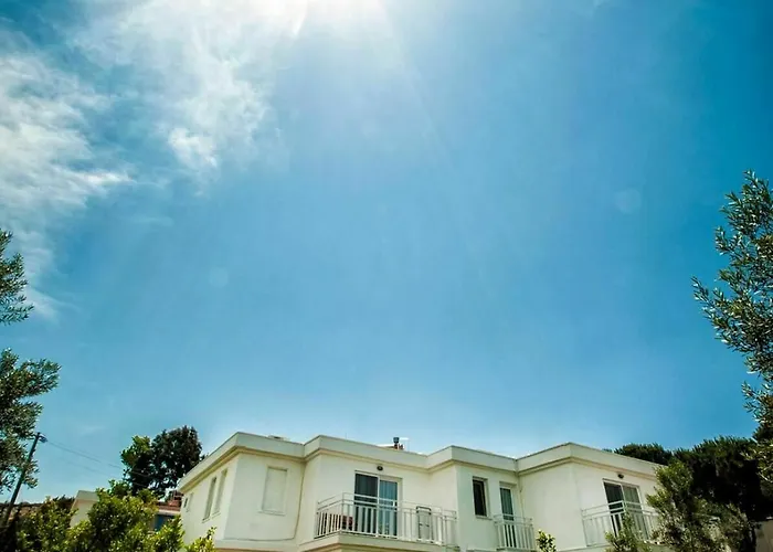 Hanedan Flora * פוצ'ה